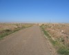 IMG_2039-kopie